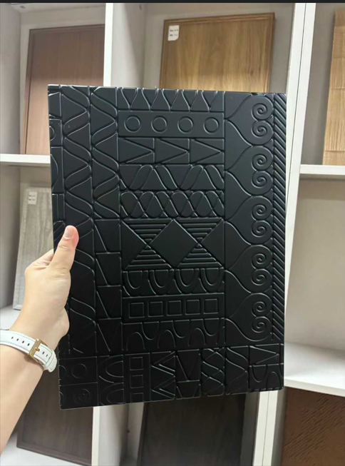 Persidangan Bangunan Pasukan Ketiga Warna Masa Depan telah berjaya diadakan di Chengdu.